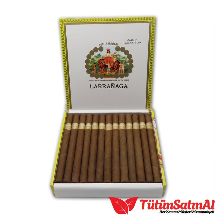 Por Larrañaga Petit Coronas: Slim Boy Format İncelemesi 1